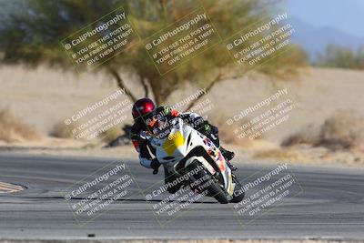 media/Jan-14-2024-SoCal Trackdays (Sun) [[2e55ec21a6]]/Turn 4 Tree of Life (155pm)/